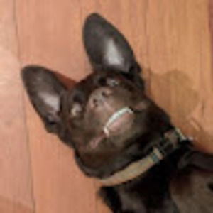 Meet your Posher, Tess